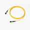 MPO / MTP Fibra óptica 8,12,24 Núcleo monomodo Multimodo MPO MTP Patch Cord